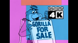 CN Groovies - Gorilla 4 Sale (4K 30fps)