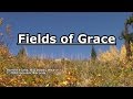 Fields of Grace - Big Daddy Weave - Lyrics