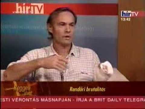 egy szemtanu, akit szintén ártatlanul agyba-föbe vertek