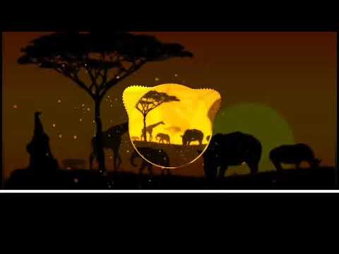 LEIAK RJ- AFRO-GAITA (MATIMBA)