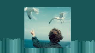 eklemedir koca konak | soner olgun