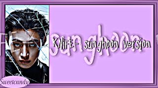 Download lagu ENHYPEN Knife (SUNGHOON Ver.) Lyrics mp3