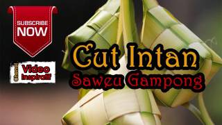 Download lagu Cut Intan - Saweu Gampong mp3