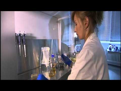 Weiße Biotechnologie