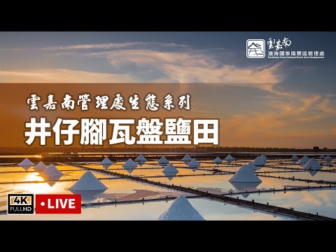 井仔腳瓦盤鹽田