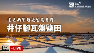 Tainan Jingzijiao Salt Fields live stream