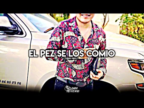 El Pez Se Lo Comio - Grupo Tr3s60 ft. Banda Renovacion (2019)