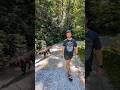 Ultimate Adventure Exploring The Great Outdoors With Our Dog