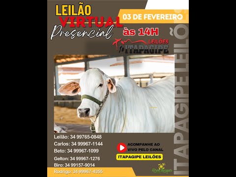 LEILÃO VIRTUAL  - ITAPAGIPE LEILÕES  03/02/2026- ITAPAGIPE-MG.