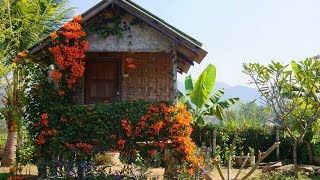 PAI TRAVEL GUIDE 🛖 Exploring the Hippie Hillside Town of Pai: Things to Do in Northern Thailand ปาย