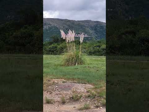 casa para vacacionar mina clavero cordoba WhatsApp 11 5 105 4226