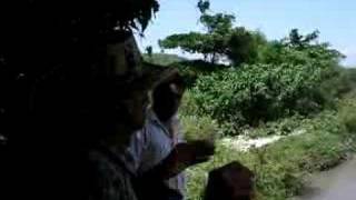 preview picture of video 'Contaminación del Arroyo León, Barranquilla.'