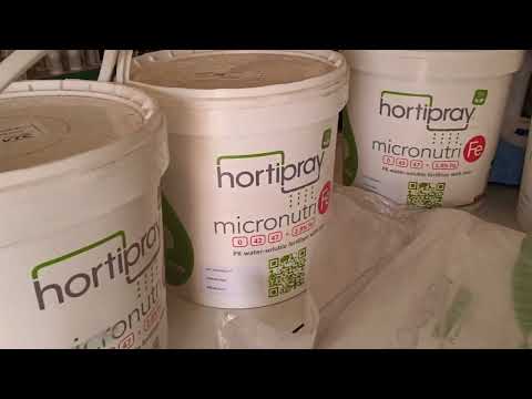 Orgnal 00.42.47. Fe2 % in India  prayaon available in Maharashtra