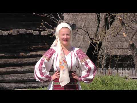 Cornelia Orleanu   Bate vantul de la munte