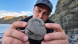 This Ordinary Beach Pebble Was Hiding Something Incredible