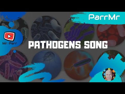 Pathogens Song