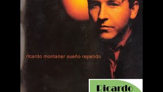 Ricardo Montaner - Resumiendo (Cover Audio)