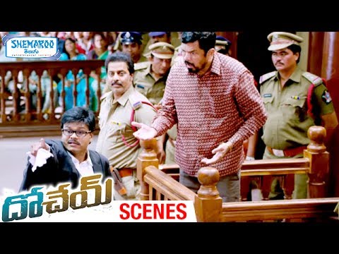 Saptagiri Comedy At Court | Climax Scene | Dohchay Telugu Movie Scenes | Naga Chaitanya