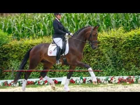 07 Freeman  Wallach v. Foundation - Ehrenstolz