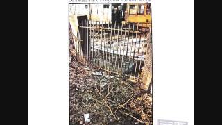 Never Tell Your Mother She's Out of Tune - Catfish Hodge