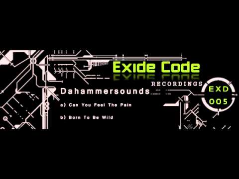 Dahammersounds - Can You Feel The Pain