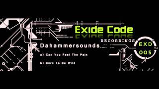 Dahammersounds - Can You Feel The Pain