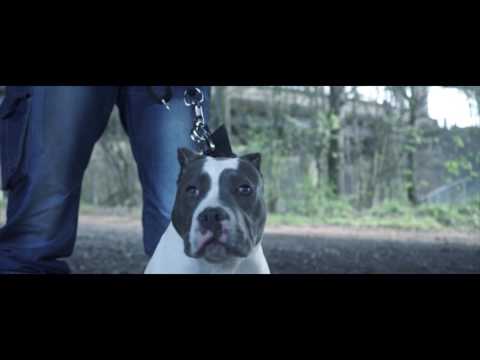 P110 - Big Dog Yogo - Sniper [Net Video]