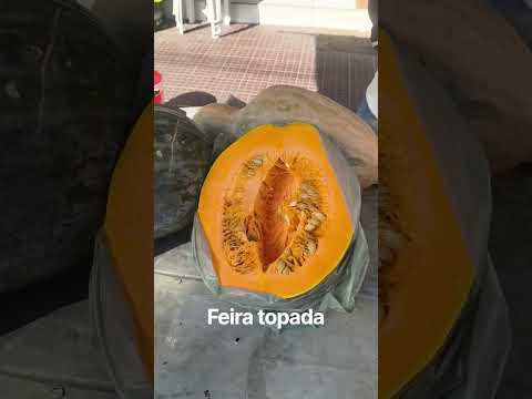 feira de rua de Timbaúba Pernambuco
