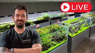 Fragen an Liquid Nature - Aquascaping Q&A Livestream!