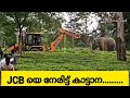 എന്റെ കാട് നശിപ്പിക്കാൻ അനുവദിക്കില�