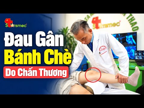 May Mà Chỉ Dập Gân Bánh Chè, Nhưng Để Lâu Gân Đã Xơ Hóa