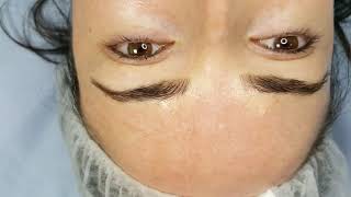 Eyebrows Microblading by El Truchan @ Perfect Definition