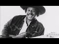Lonnie Brooks-In The Dark
