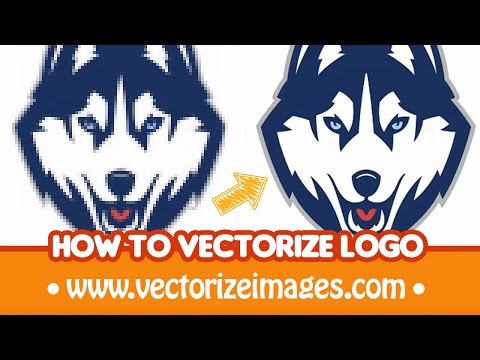 Online vectorization service