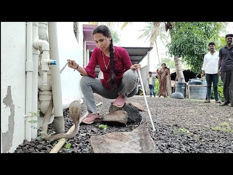 श्रद्धा पेक्षा रागीट स्वभावाचा विषारी नाग!