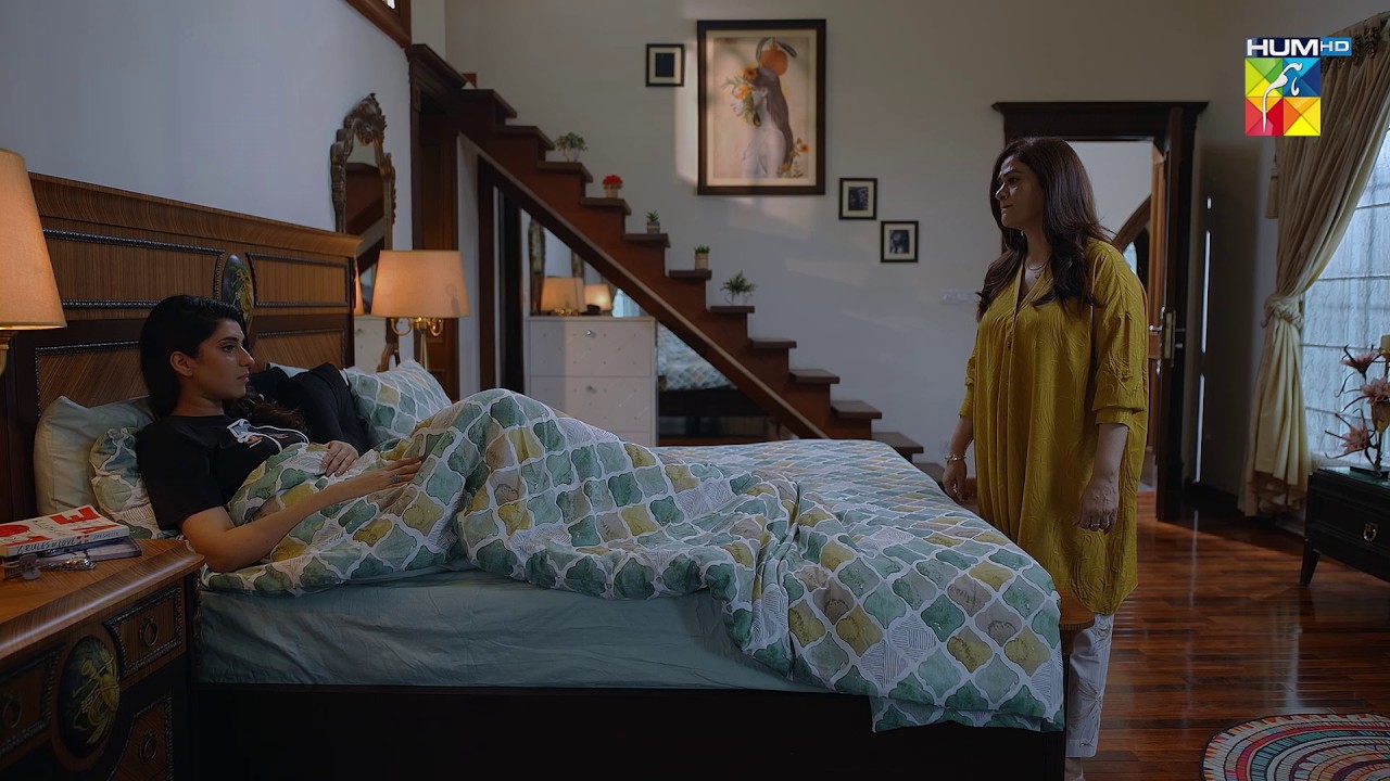 Meray Paisay Do Warna Ghar Se Nikal Dungi... #minsamalik #nabeelzuberi - Hadd - HUM TV