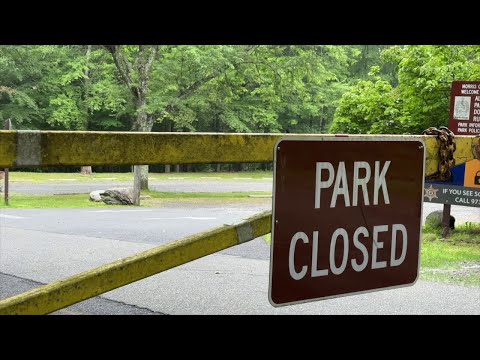 NJ Morris County’s Thorne Park Remains Closed Due To Aggressive Bear Sighting