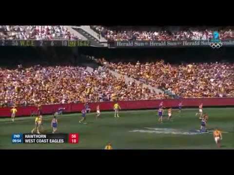 AFL 2015 Grand Final West Coast v Hawthorn Replay