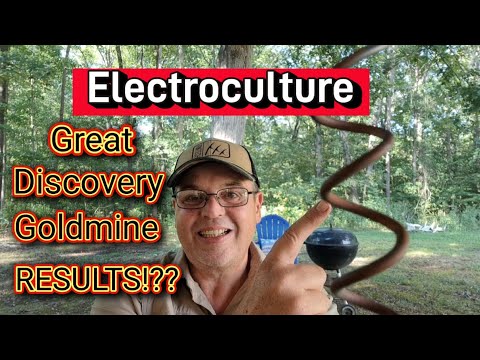 Electroculture Great Discovery Goldmine  Results #electroculturegreatdiscovery #electroculture