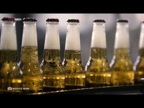 Cervecera Constellation Brands viola el derecho humano al agua