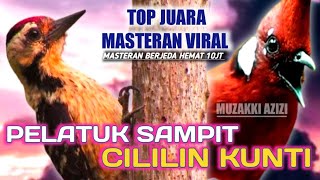Download lagu TOP JUARAAA!!!! MASTERAN PELATUK SAMPIT SAMBUNG CILILIN KUNTI MEWAH || PELATUK SAMPIT VS CILILIN mp3
