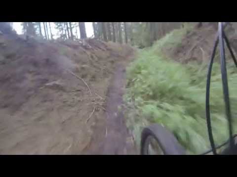 Mountenbike Tour Abfahrt von der Stifelhöhe in Abtsteinach im Odenwald 2013.06.08