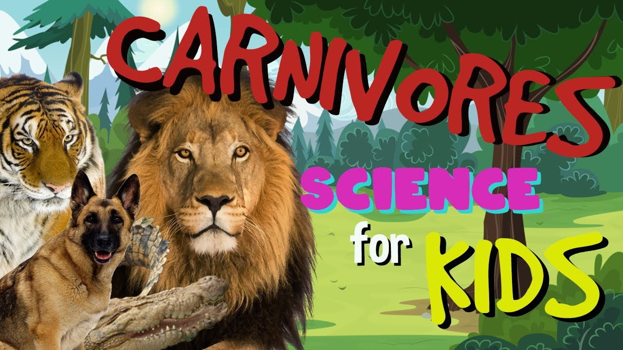 What is a Carnivore? | Science for Kids