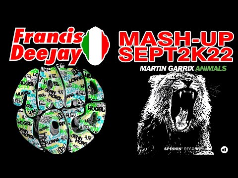 HUGEL & Lorna Vs Martin Garrix Tamo Loco Animals 2k22 FrancisDeeJay  Mash Up