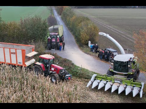 LKS - Lieschkolbensilage in Negenharrie, Hof Marquardt, Holstein Wagyu // 31.10.2021