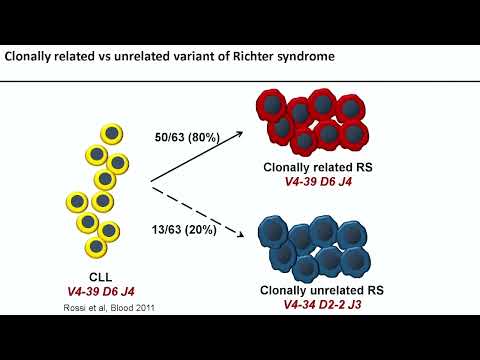 How to manage relapsed CLL and Richter’s transformation – Dr. Davide Rossi (September 15-16, 2023)