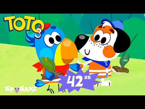 YouTube video placeholder