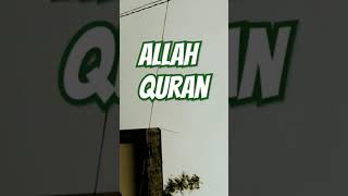 Download lagu #emotional #islamic bayan #translationquranandislam #surat-un-nissa mp3 Download lagu #emotional #islamic bayan #translationquranandislam #surat-un-nissa mp3