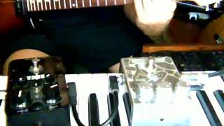 Video thumbnail for Aspid drive VS Rockett animal drive Peavey Firenza P 90) by Taric music