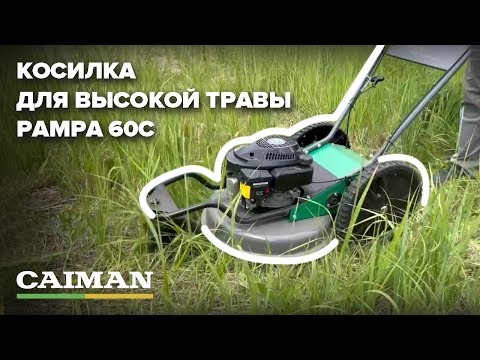 Миниатюра изображения товара Газонокосилка бензиновая Caiman Pampa 60C